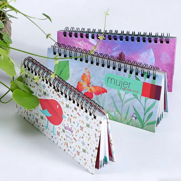 Lindos Cuadernos Espiral