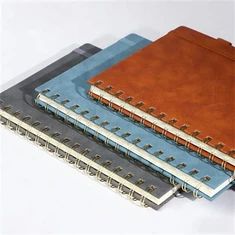 Cuadernos encuadernados en espiral